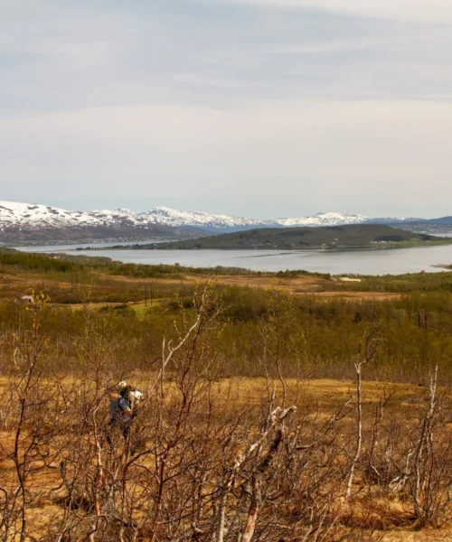 Foto: Stein Valkoinen